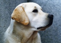 /album/fotogaleria/xs-374file0467-2-jpg/